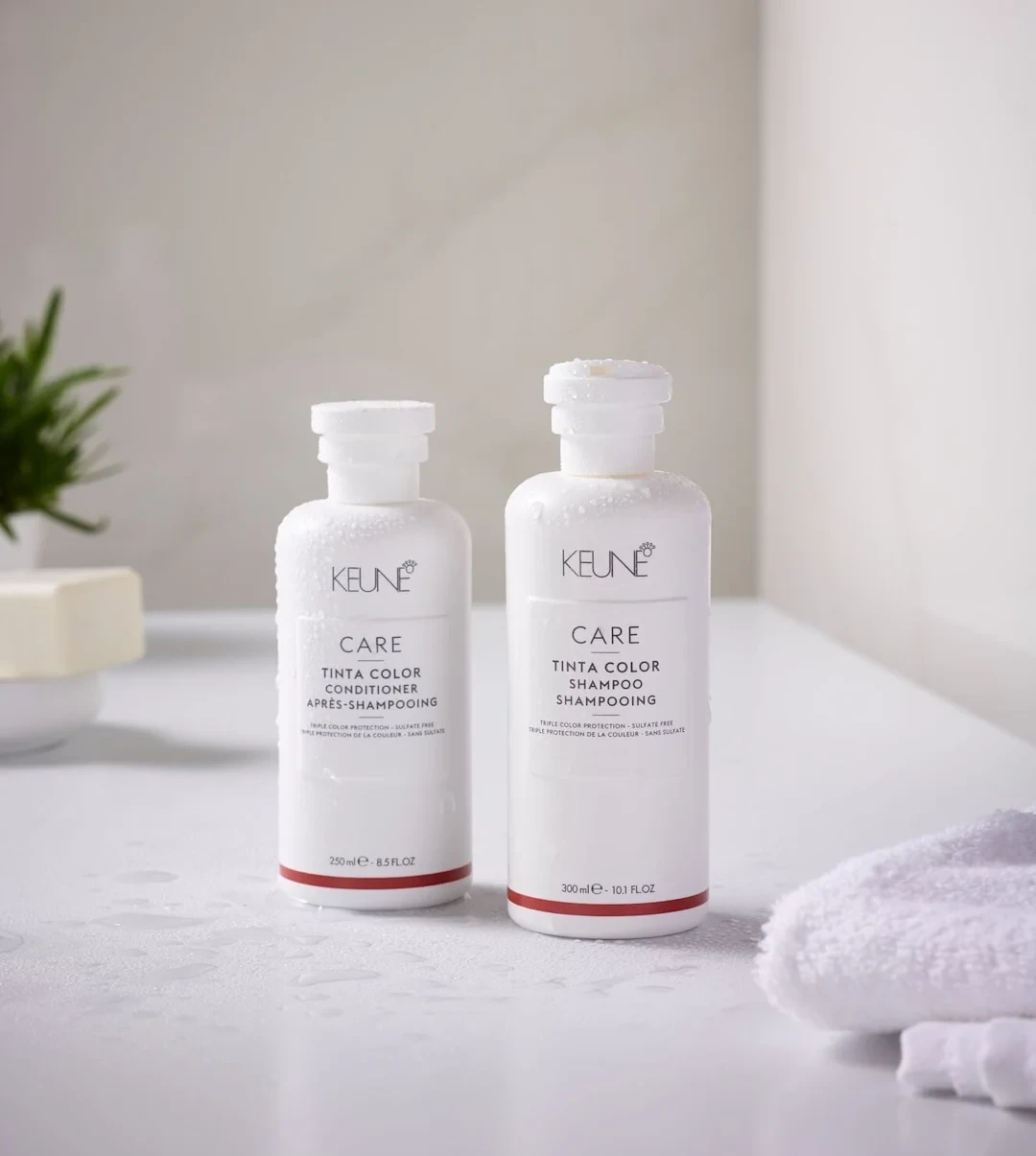 شامبو وبلسم للشعر المصبوغ تينتا من كيون |  Care Tinta Color Shampoo and Conditioner